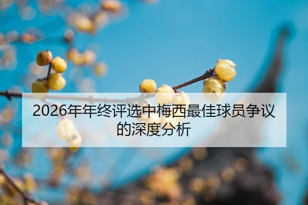 nian-nian-zhong-ping-xuan-zhong-mei-xi-zui-jia-qiu-yuan-zheng-yi-de-shen-du-fen-xi-2-394.jpg