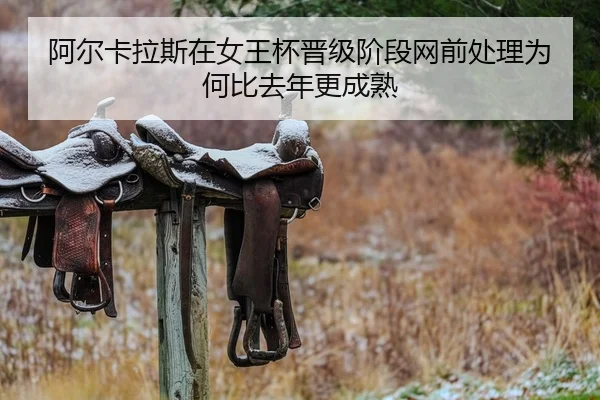 a-er-ka-la-si-zai-nv-wang-bei-jin-ji-jie-duan-wang-qian-chu-li-wei-he-bi-qu-nian-geng-cheng-shu-2-409.jpg