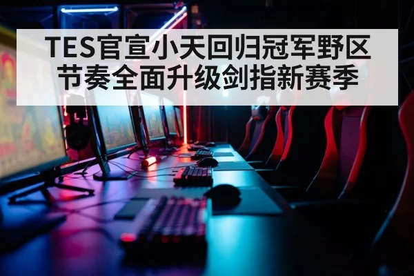 gaming setup